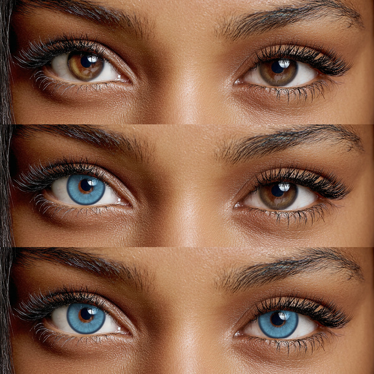 Akiwaii Beagan Blue [Yearly]