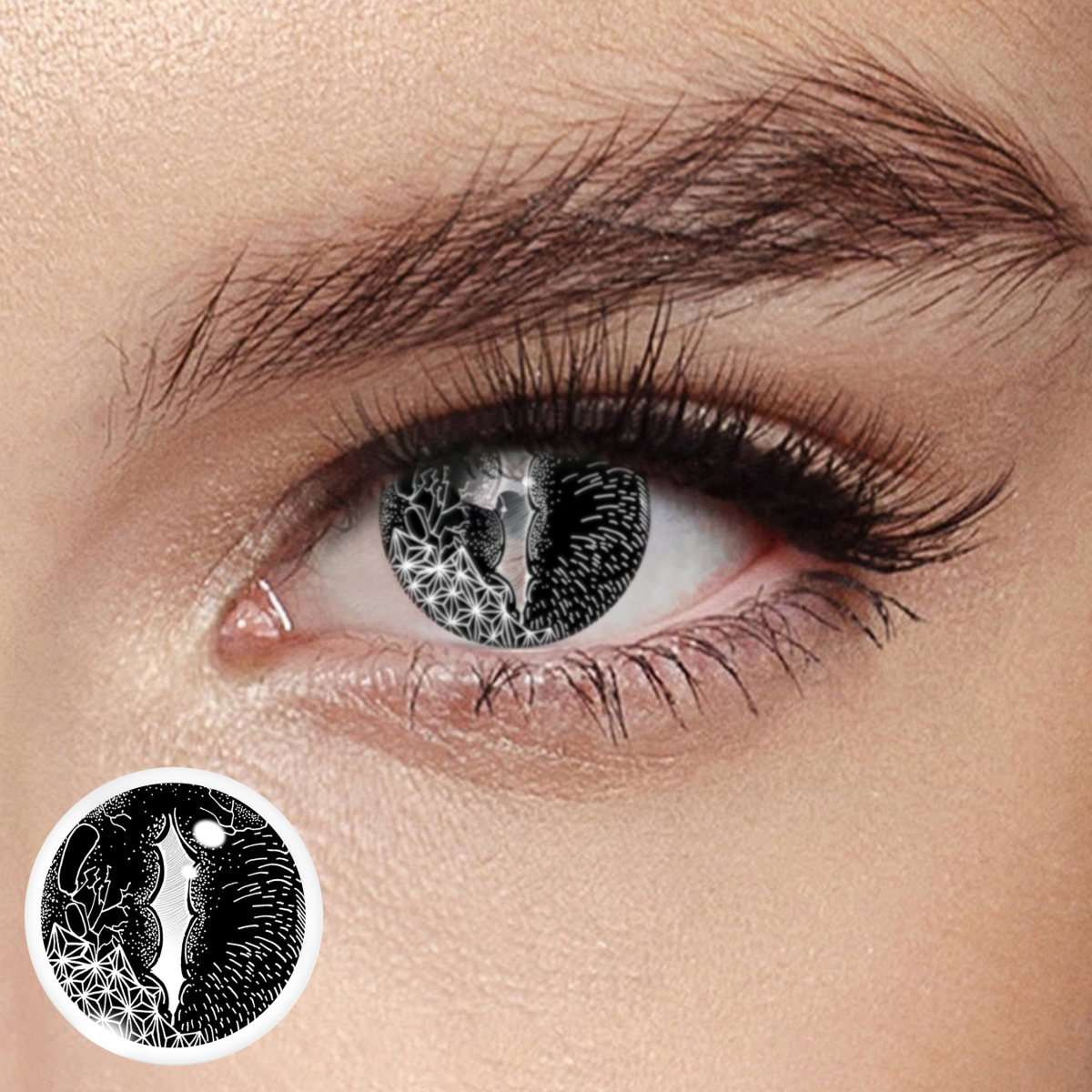 Akiwaii Basilisk Black [6-month-wear]