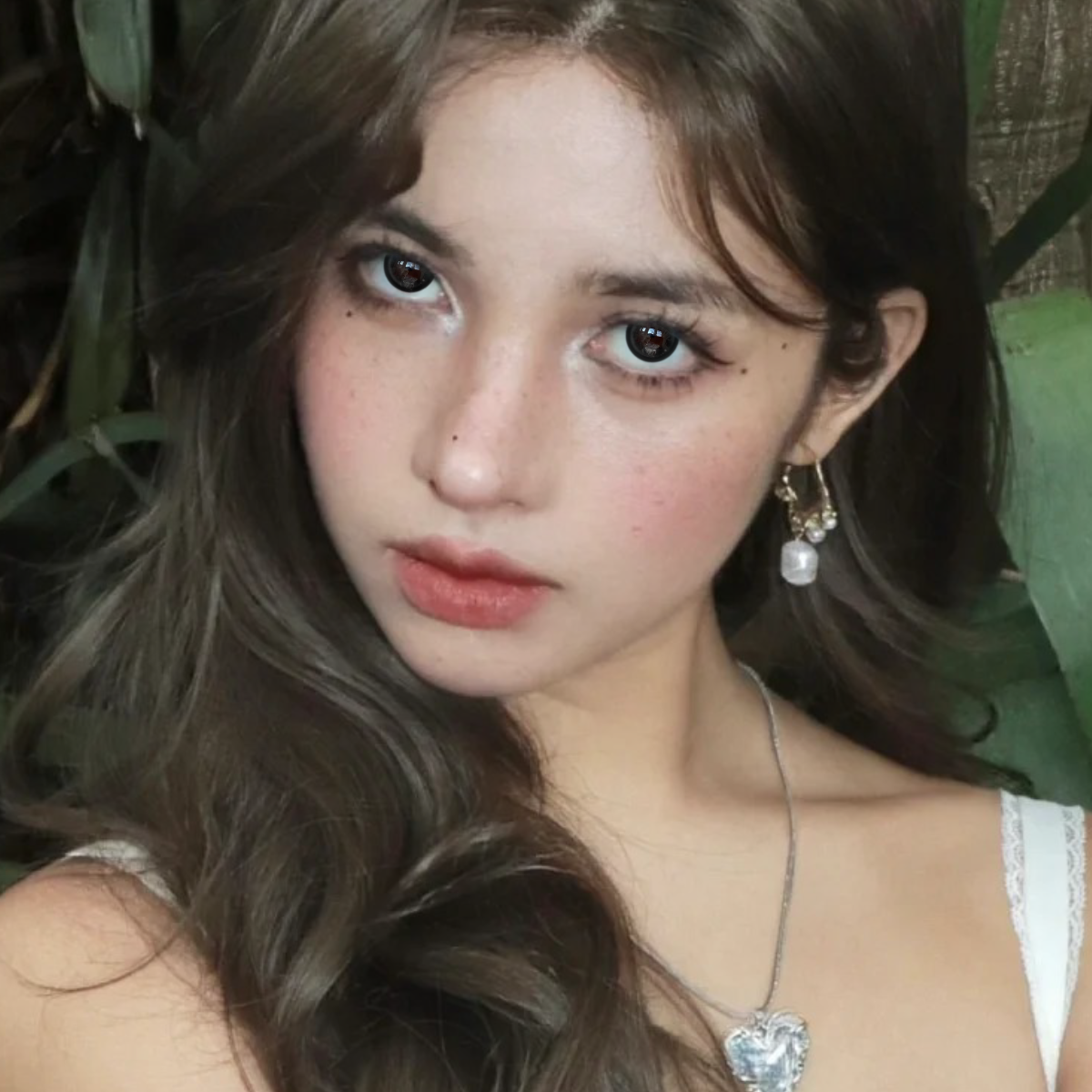 Akiwaii Prismora Black [Yearly]