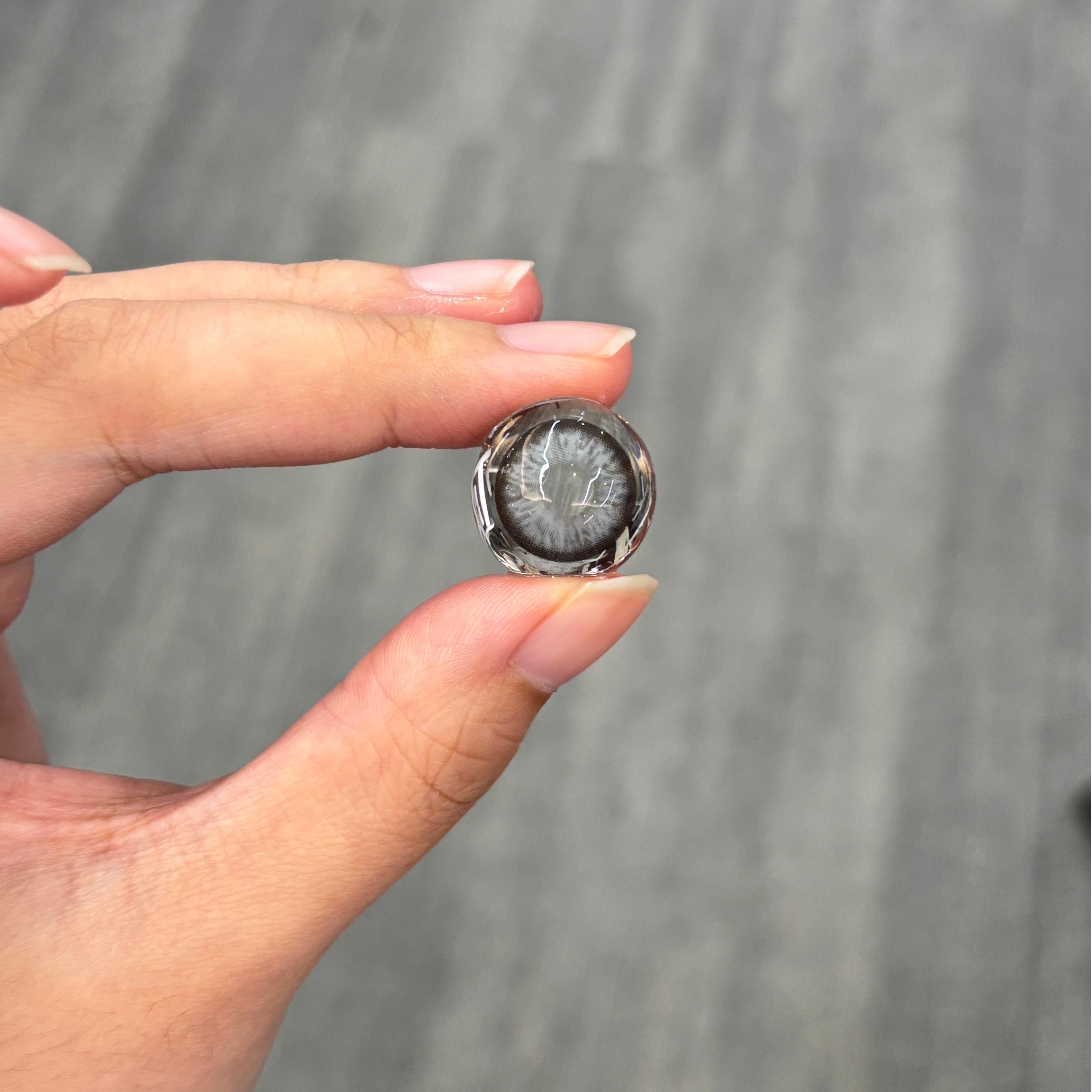 Akiwaii Attraction Grey[Yearly]