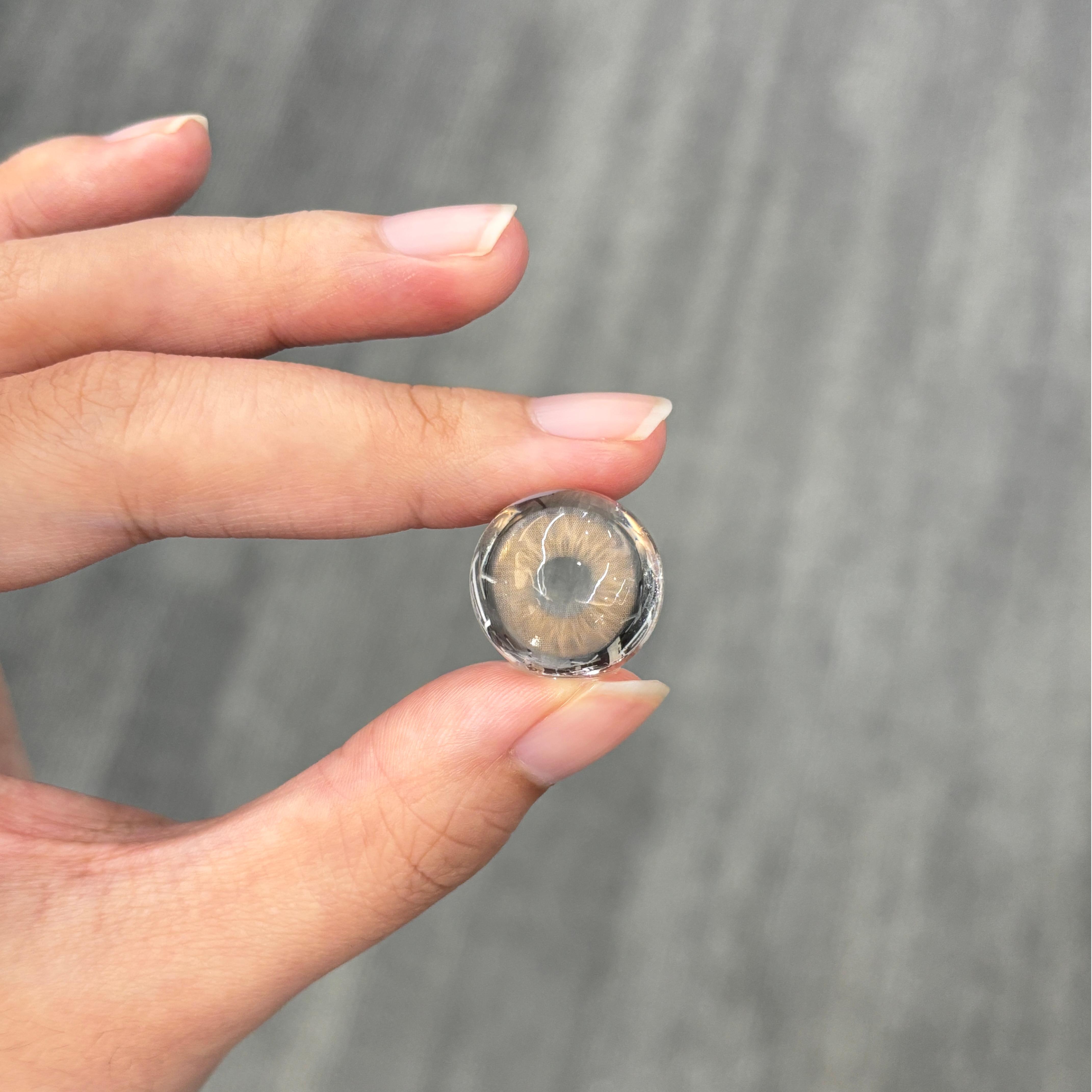 Akiwaii Radiis Brown[Yearly]