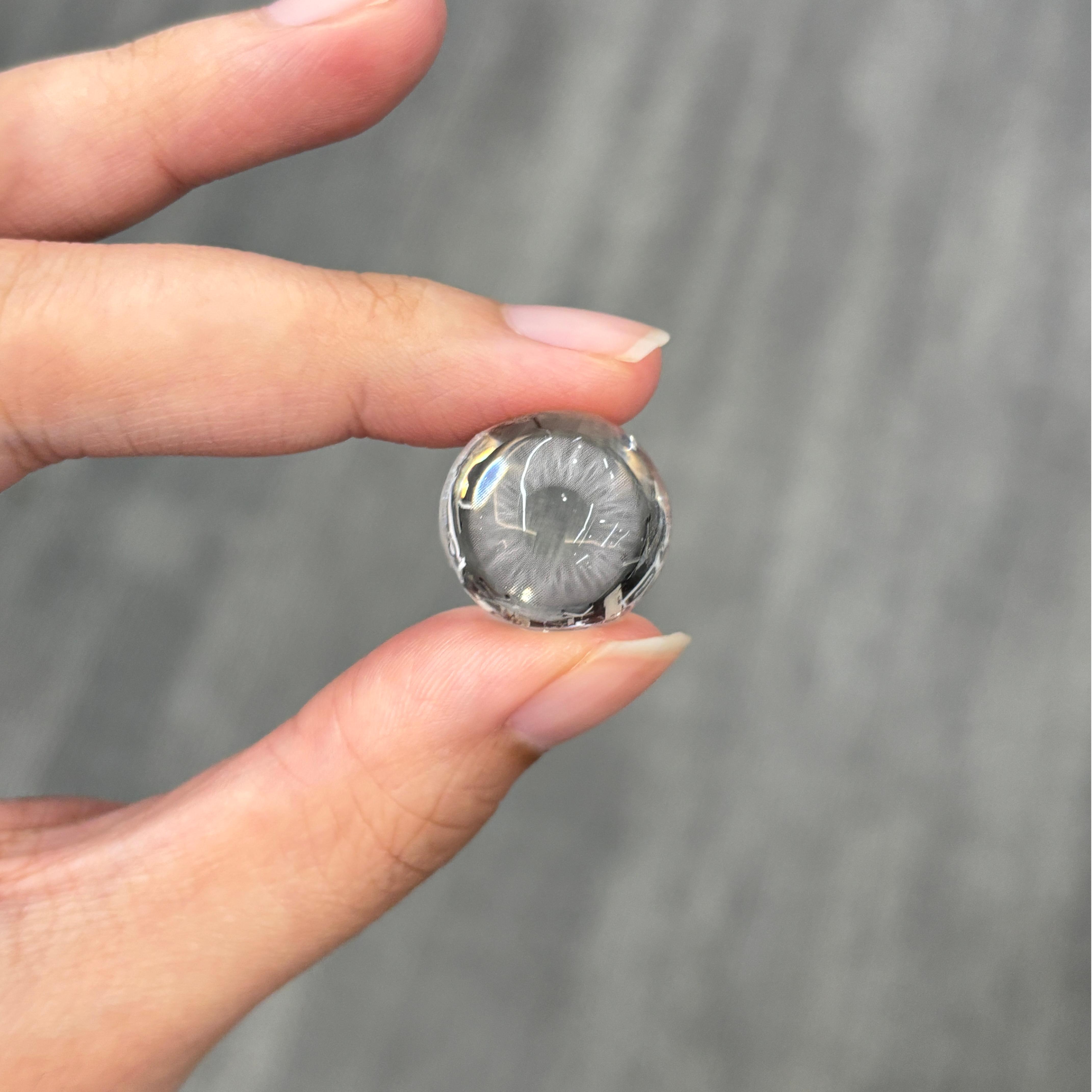 Akiwaii Radiis Grey[6-month-wear]