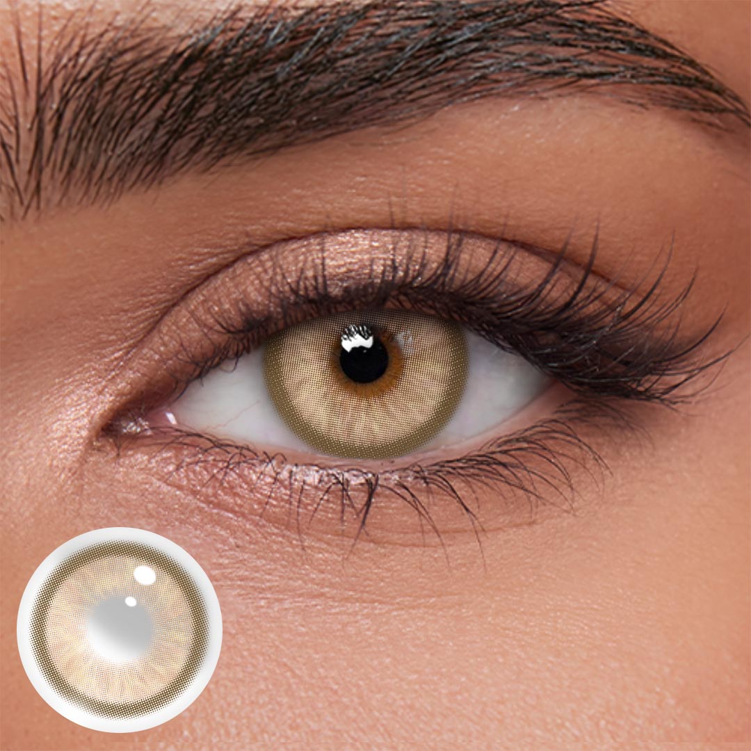 Akiwaii Canvas Brown [Yearly]