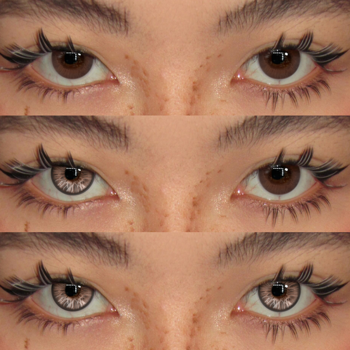 Akiwaii Celestique Brown [Yearly]