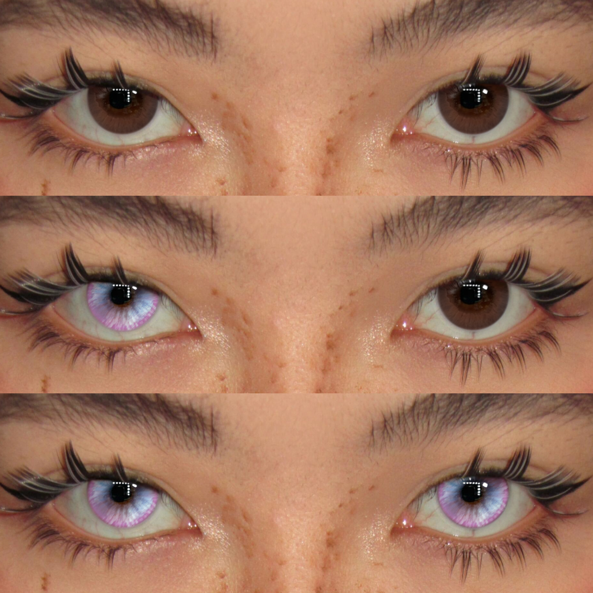 Akiwaii Coco Light Purple [Yearly]