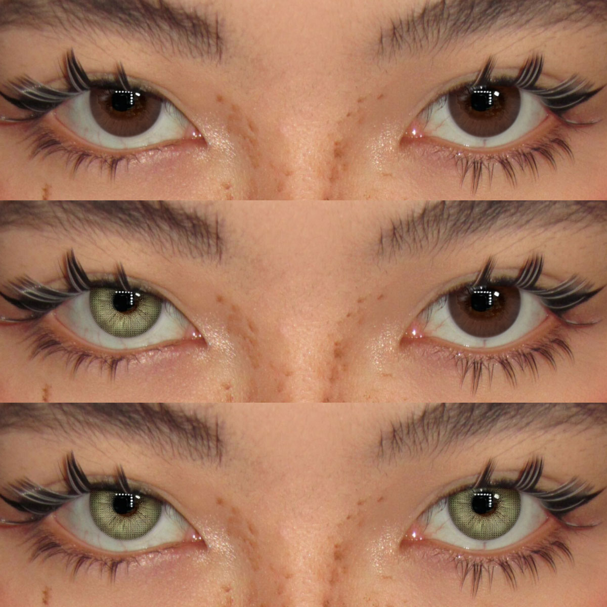 Akiwaii Rome Times Olive Green [Yearly]