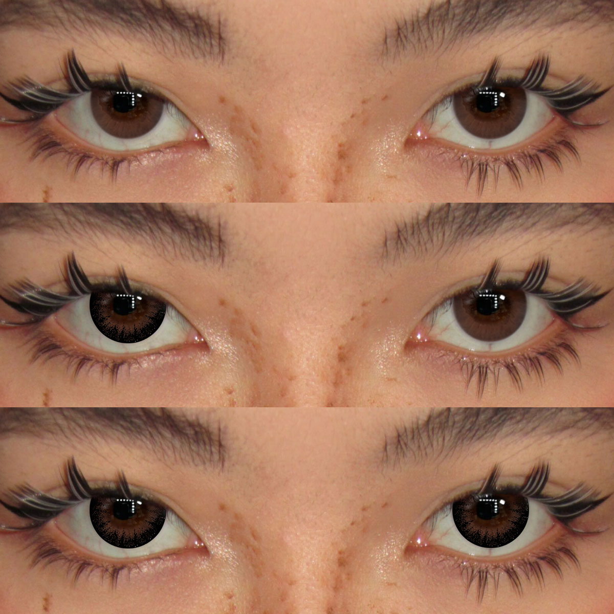 Akiwaii Vanta Black [Yearly]