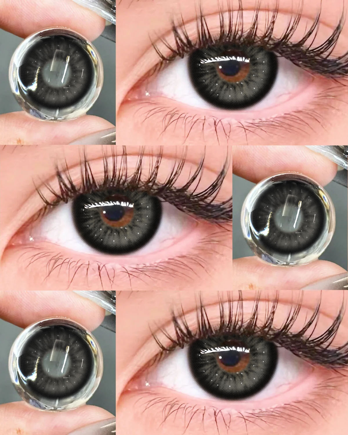 Akiwaii Veloria Black [Yearly]