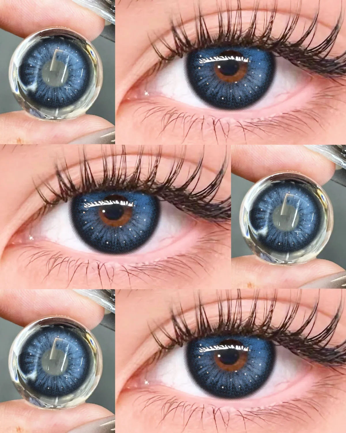 Akiwaii Veloria Blue [Yearly]