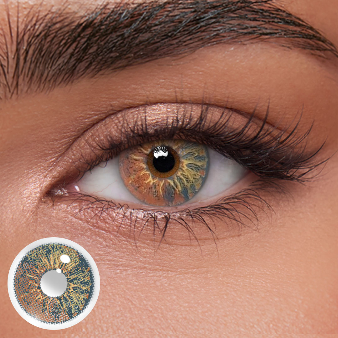 Akiwaii Orbit Brown[Yearly]