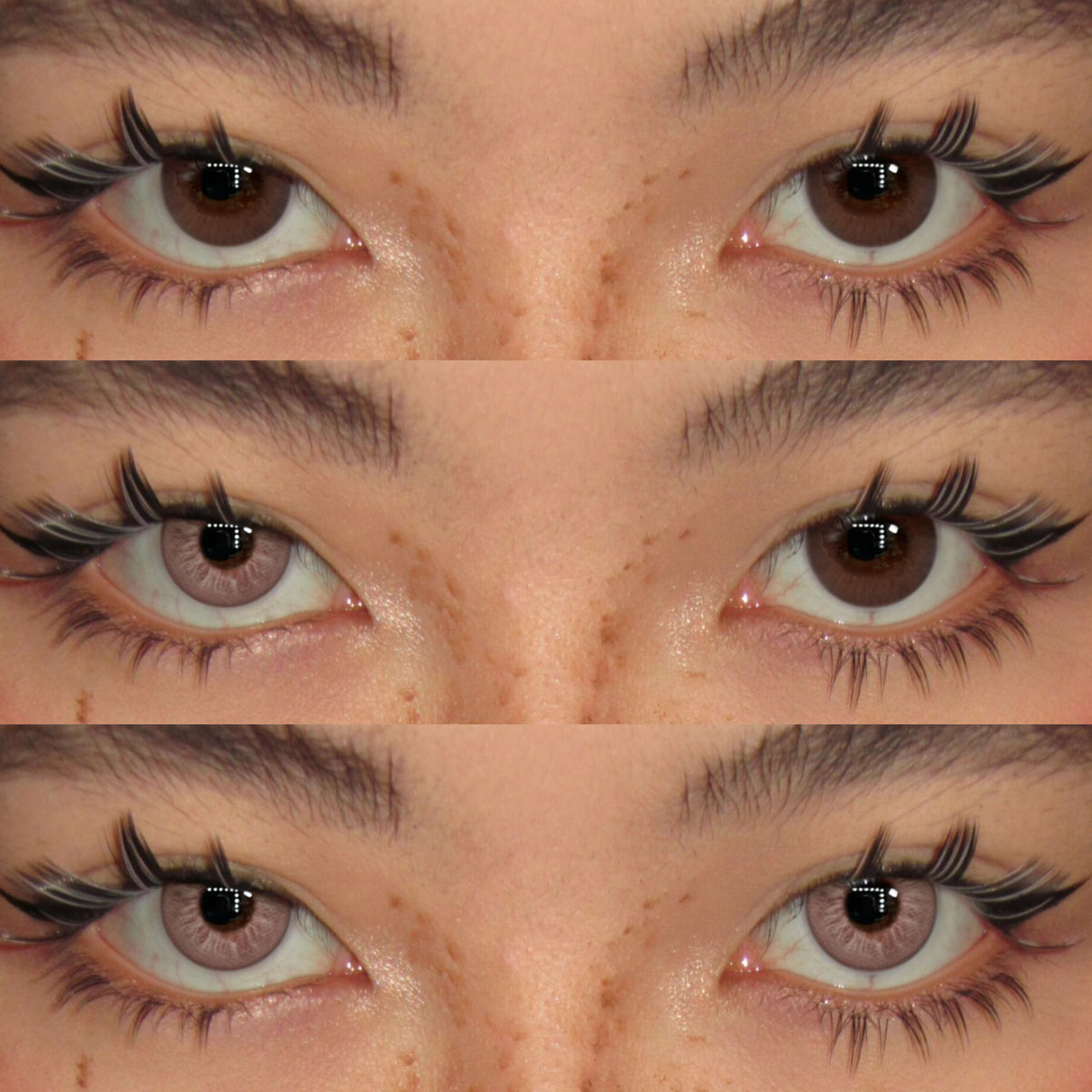 Akiwaii Solene Brown [Yearly]