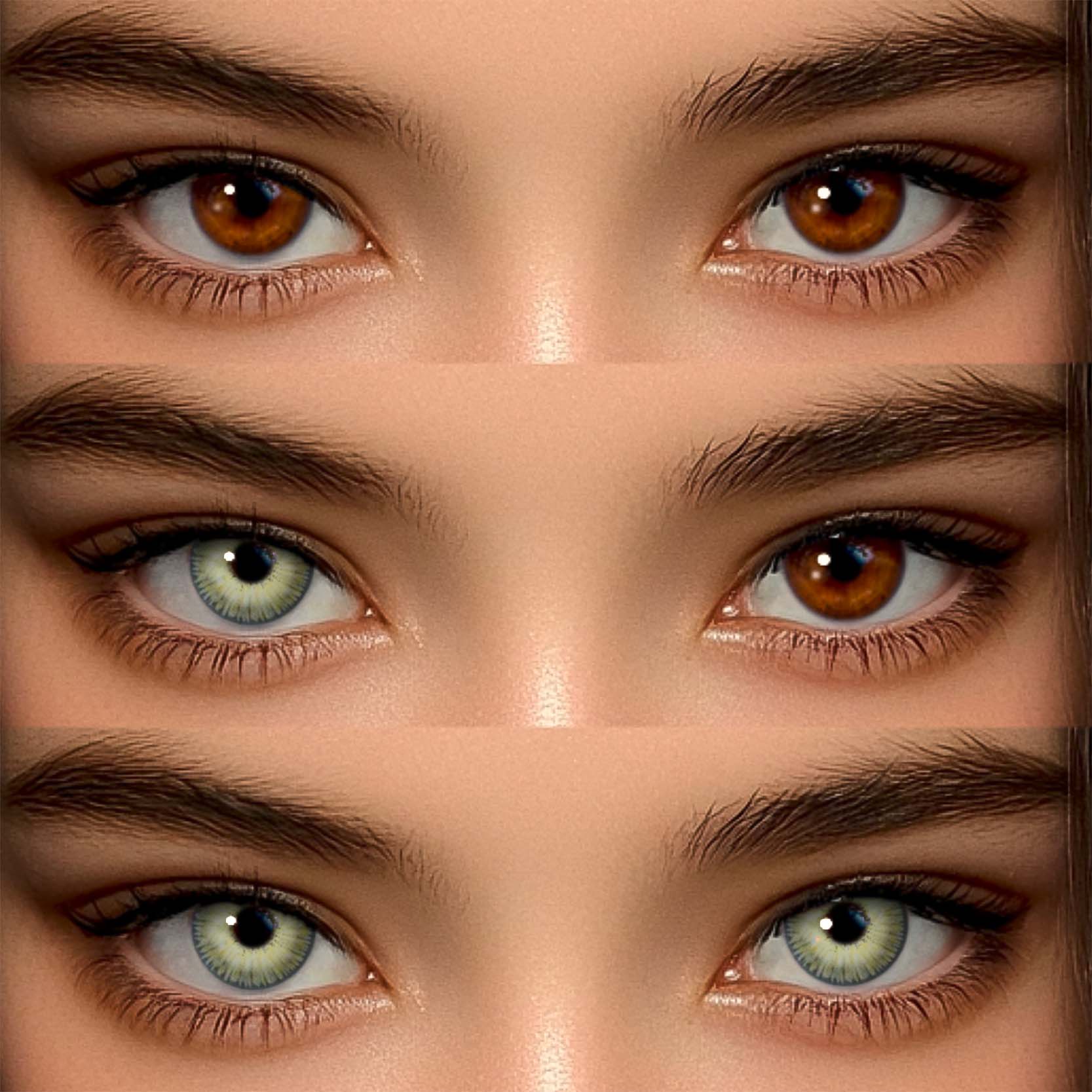 Akiwaii Miravale Light Brown [Yearly]