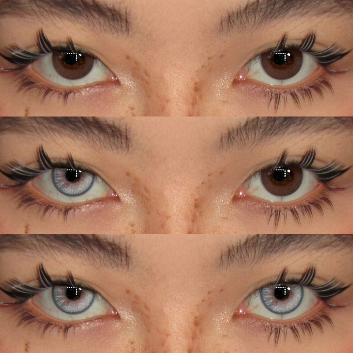 Akiwaii Silver Cat Grey | Yearly Colored Contact Lenses