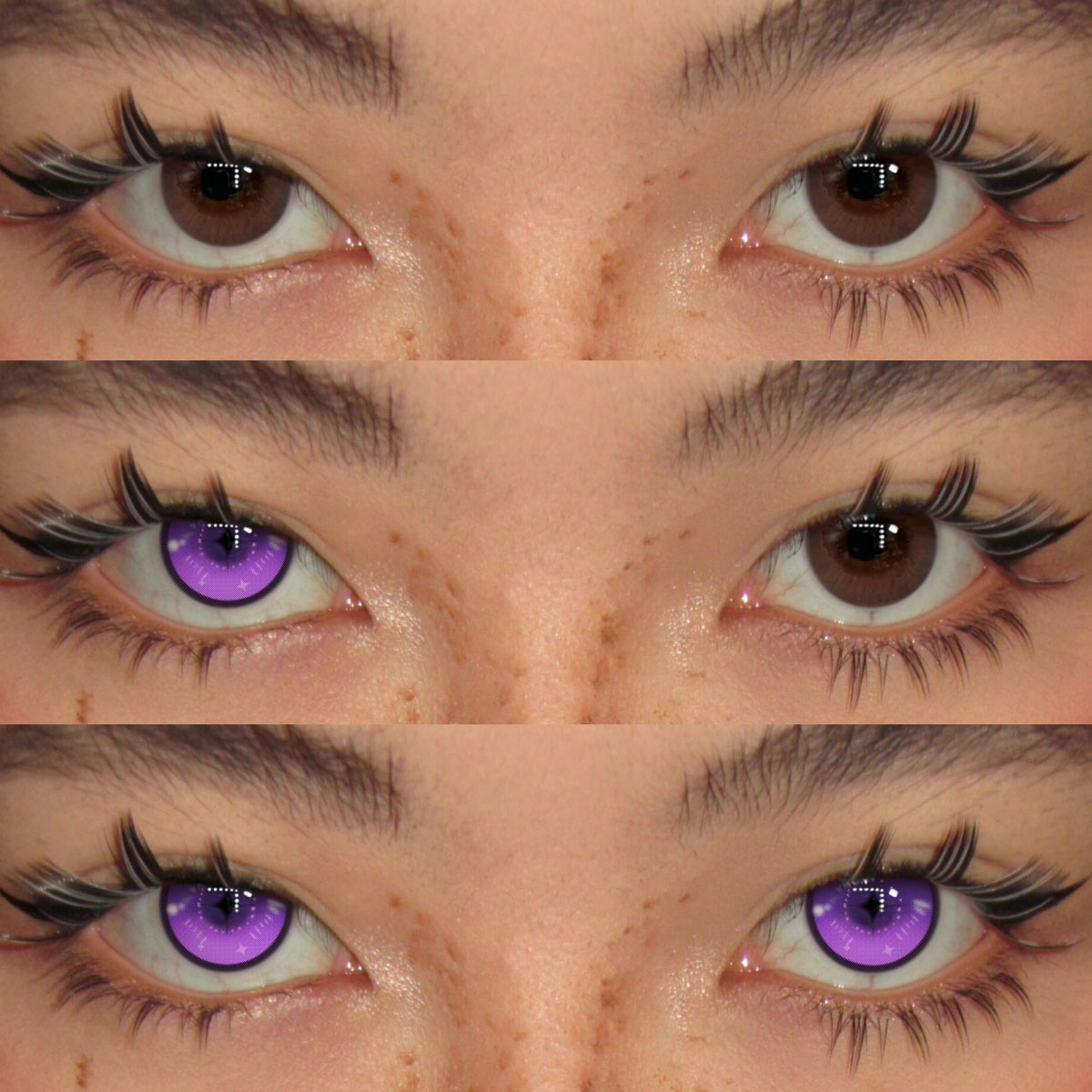 Akiwaii Wist Purple [6-Month Wear]