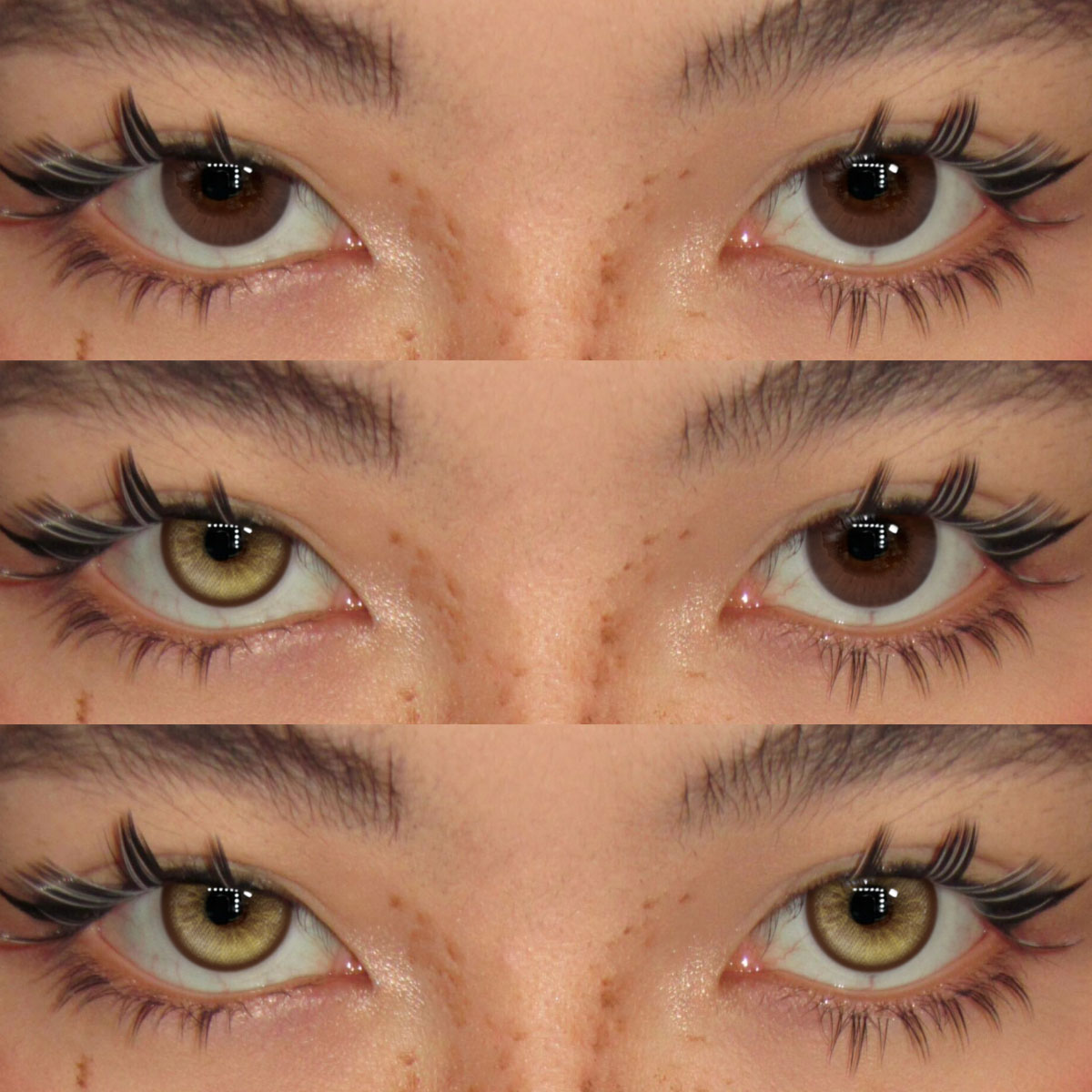 Akiwaii Honey Cat Brown Contact Lenses – 1 Year