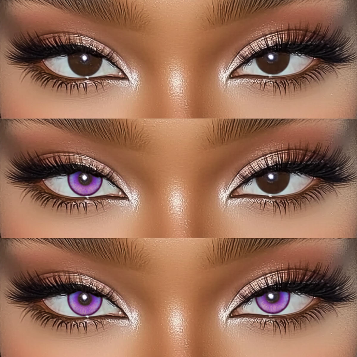 Akiwaii Coastal Purple [Yearly]