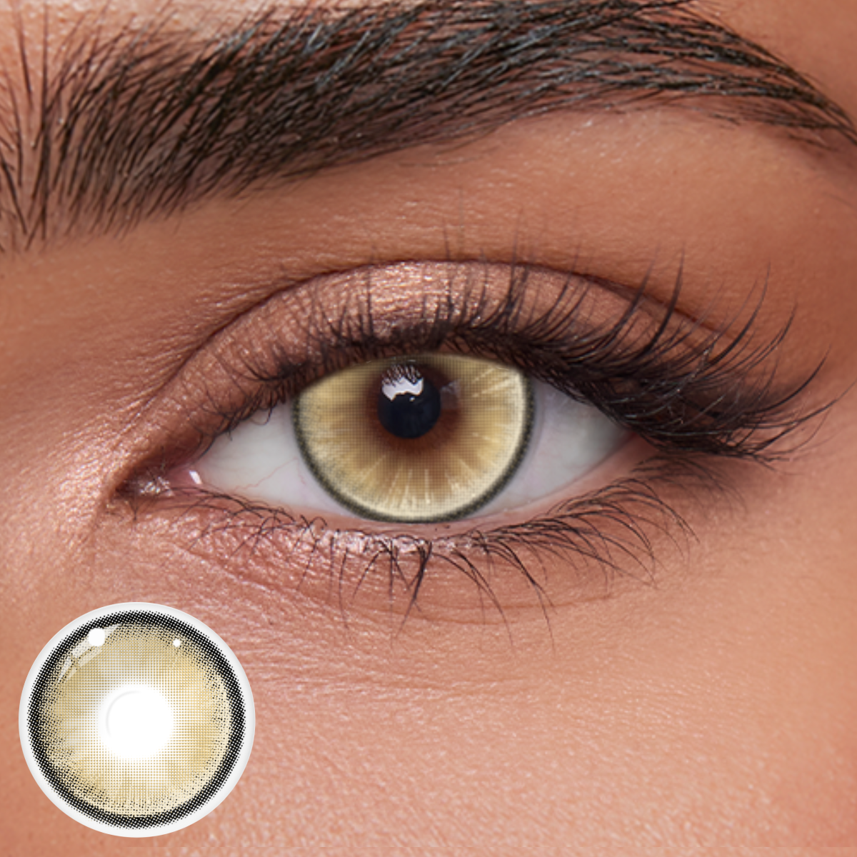 Akiwaii Pixelle Brown [Yearly]