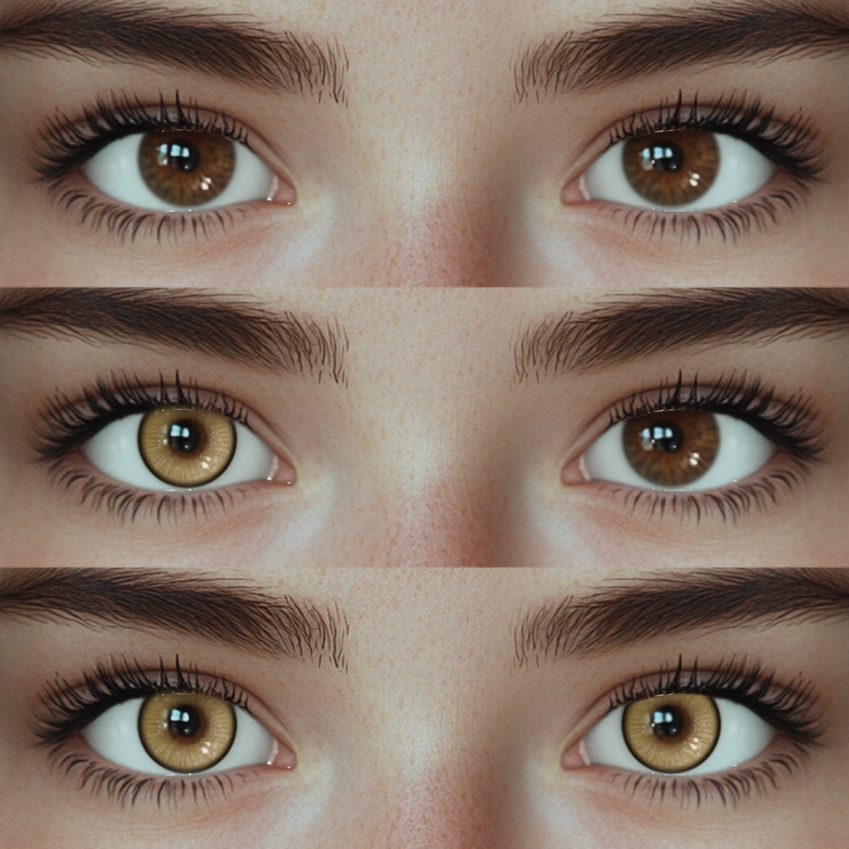 Akiwaii Mistique Brown [Yearly]