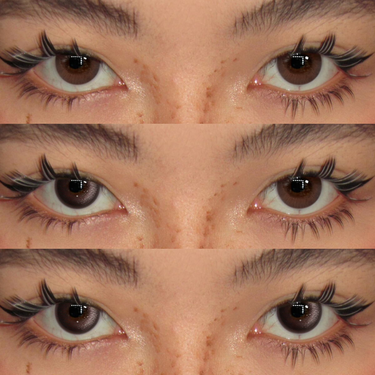 Akiwaii Mist Veil Black [Yearly]