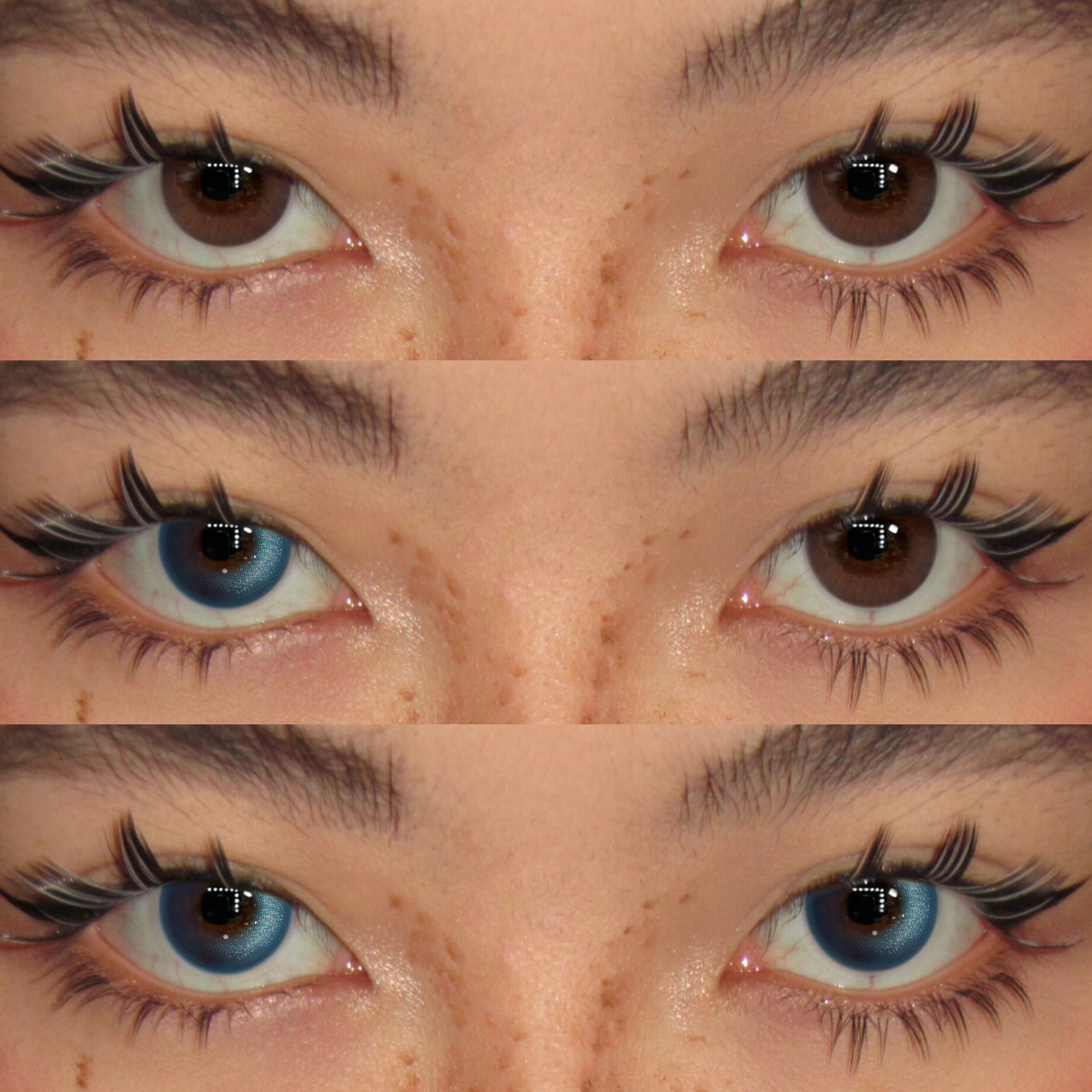 Akiwaii Mist Veil Blue [Yearly]