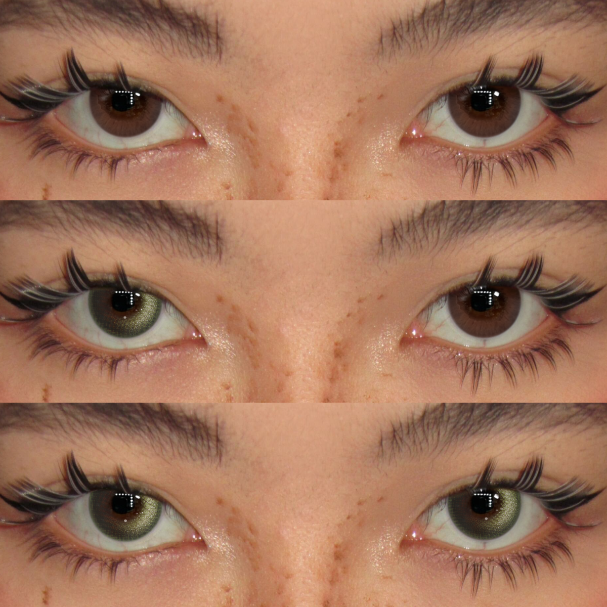 Akiwaii Mist Veil Green [Yearly]