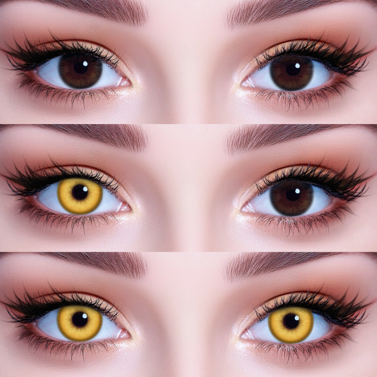 Akiwaii Bronze Beam Brwon [Yearly]