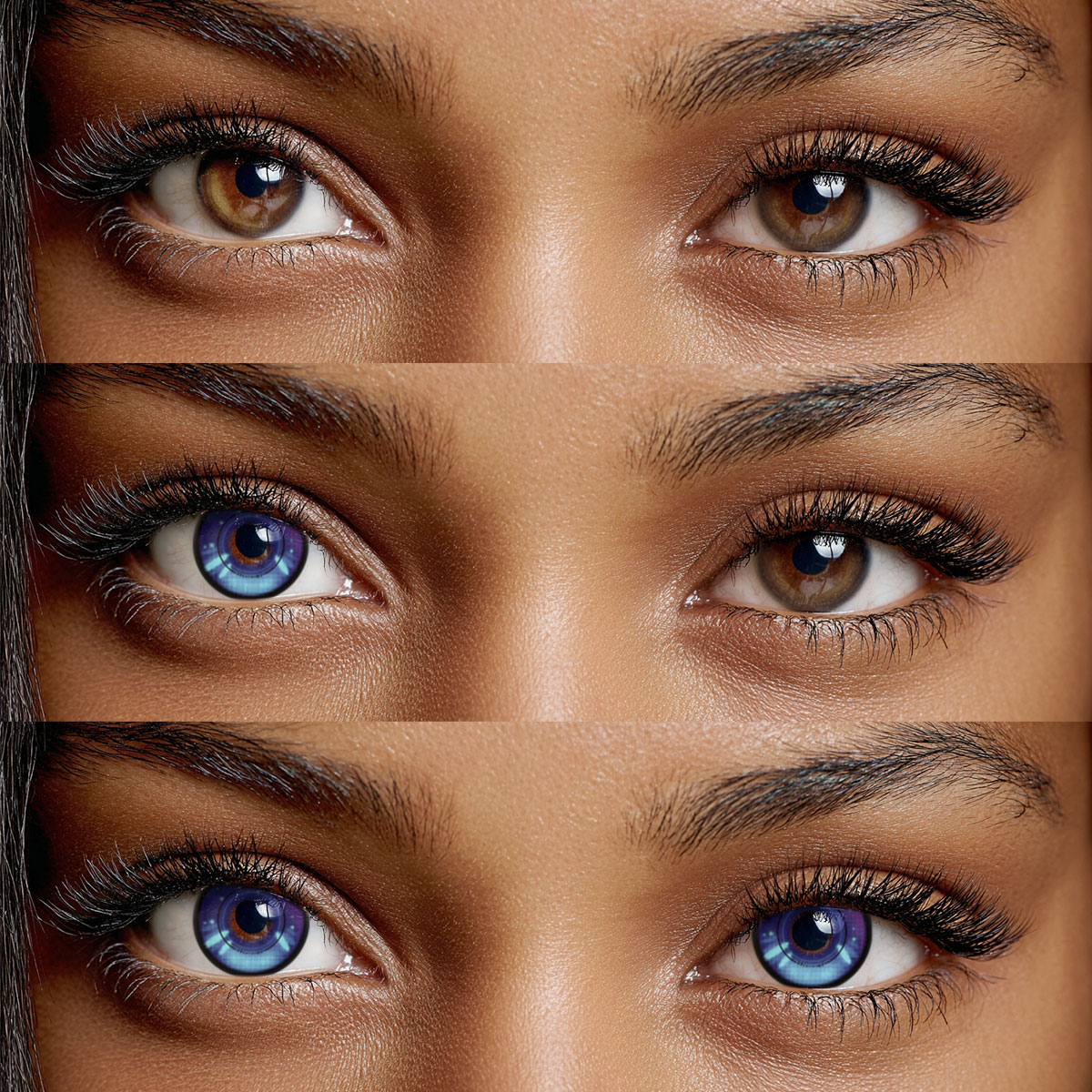 Akiwaii Thespian Purple [Yearly]