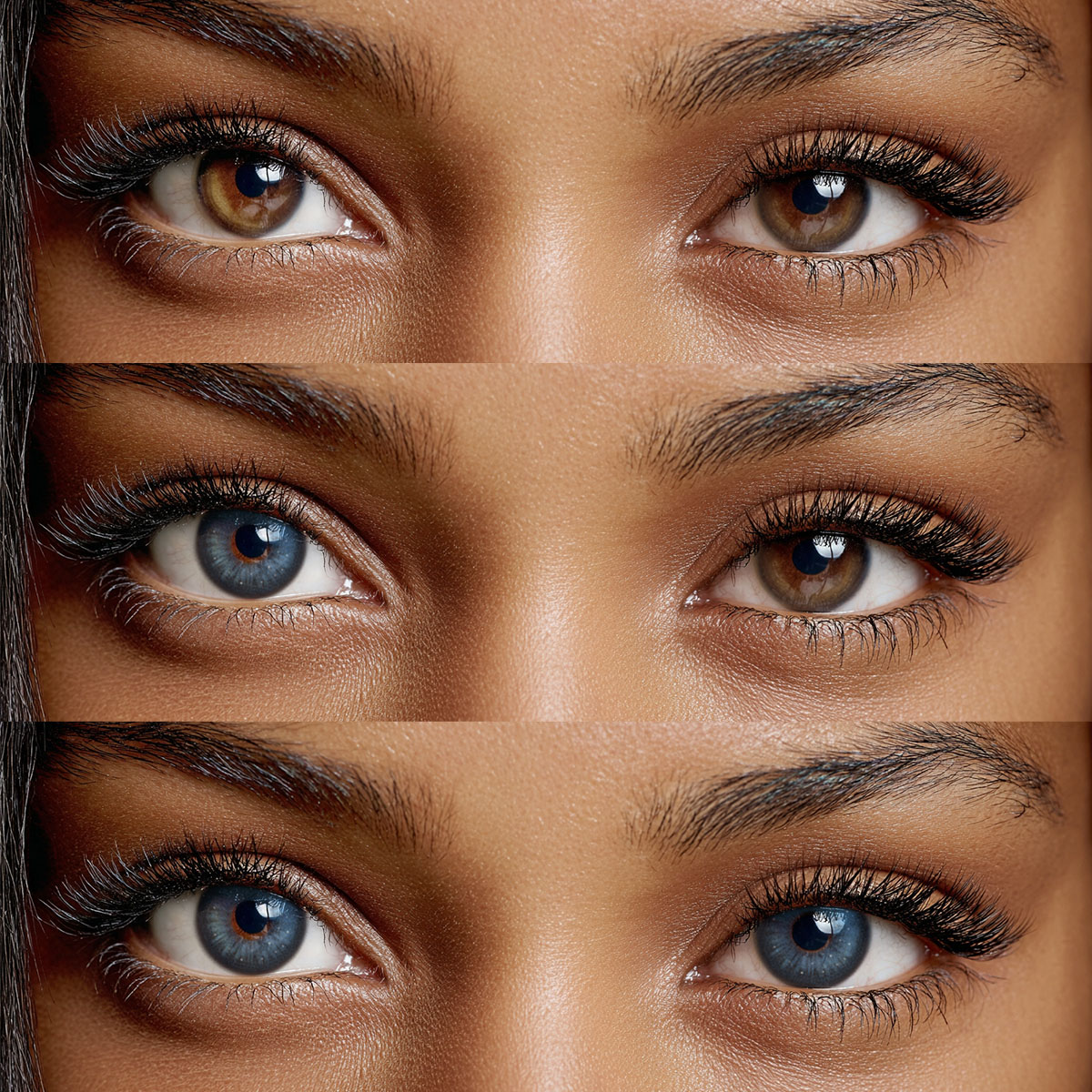 Akiwaii Veloria Blue [Yearly]