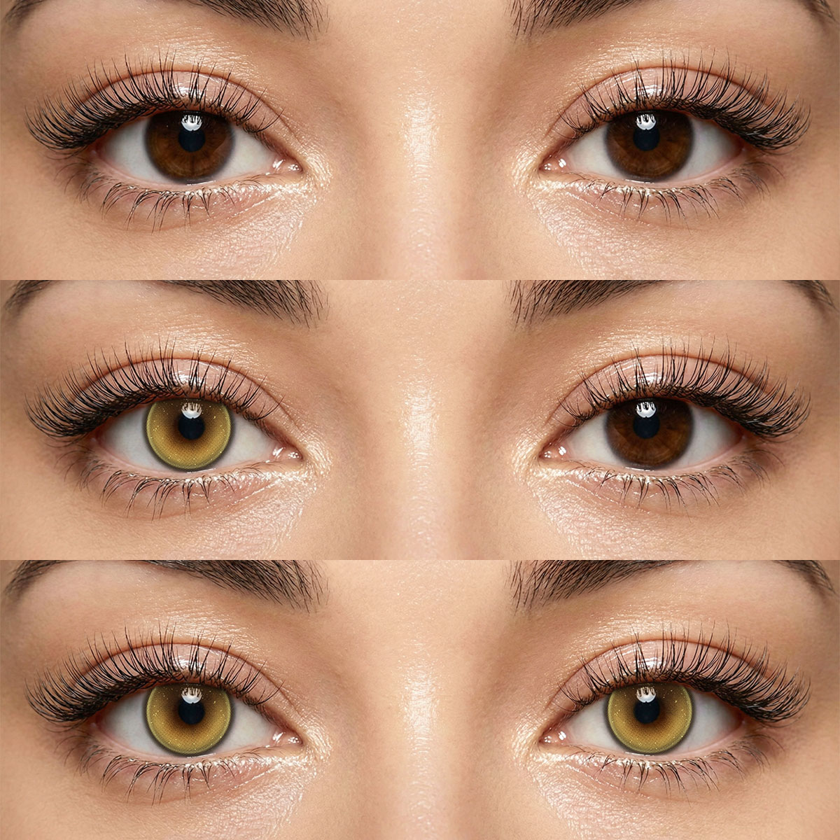 Akiwaii Tinsel Brown Contacts – Natural 6-Month Brown Lenses