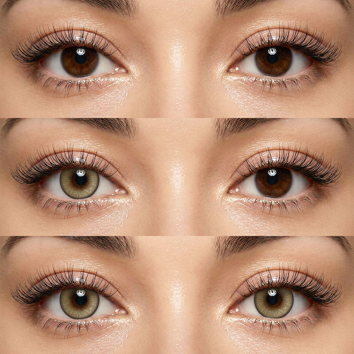 Akiwaii Mistique Brown [6-Month Wear]