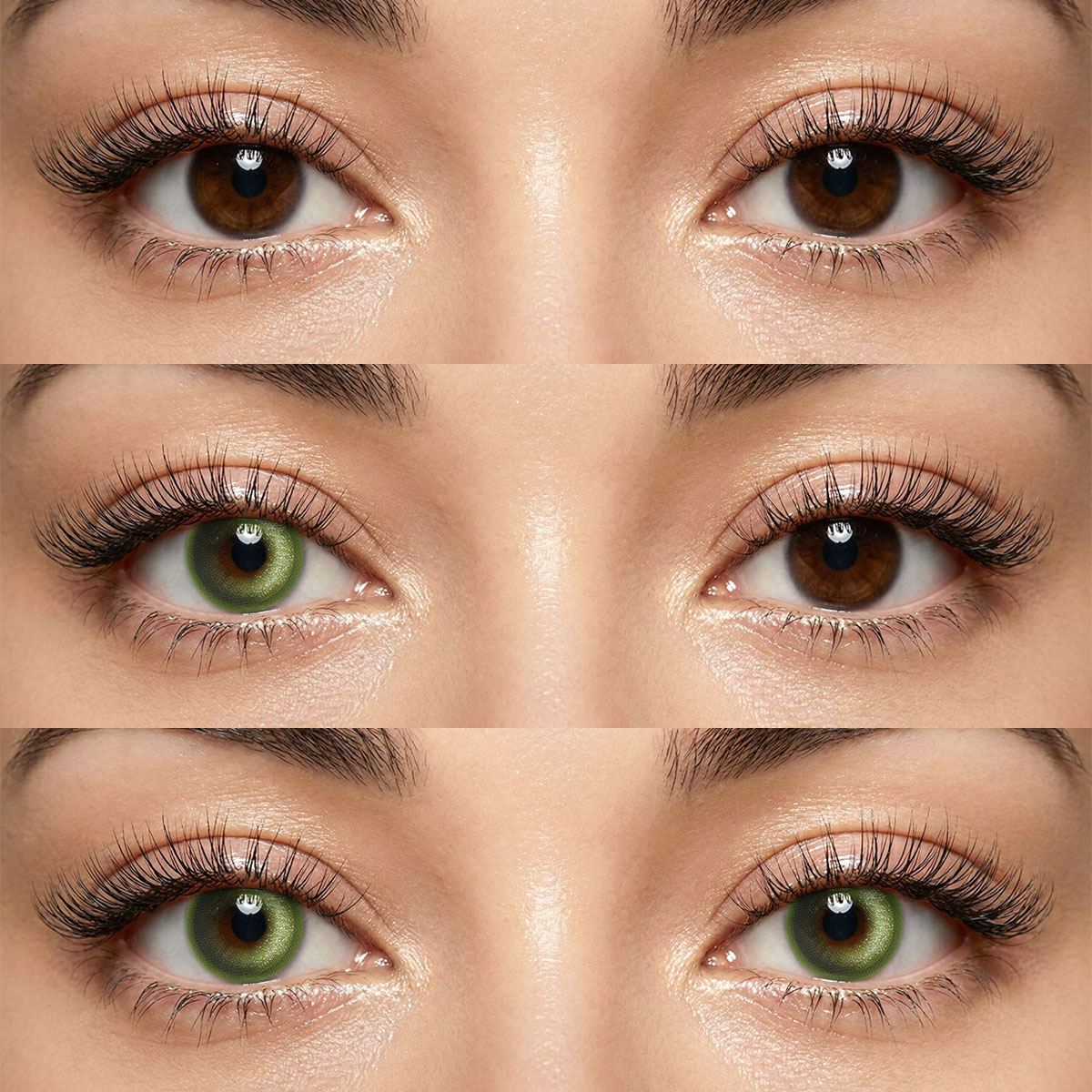 Akiwaii Mist Veil Green [Yearly]