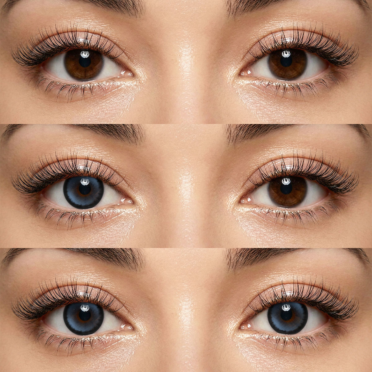 Akiwaii Vionara Blue [6-Month Wear]