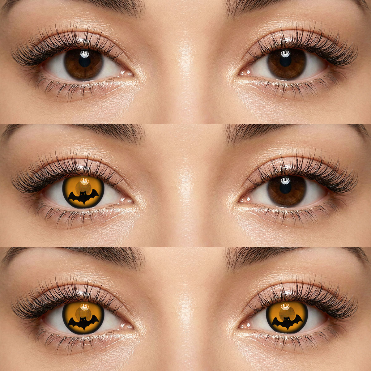 Akiwaii Dawnfire Orange [Yearly]