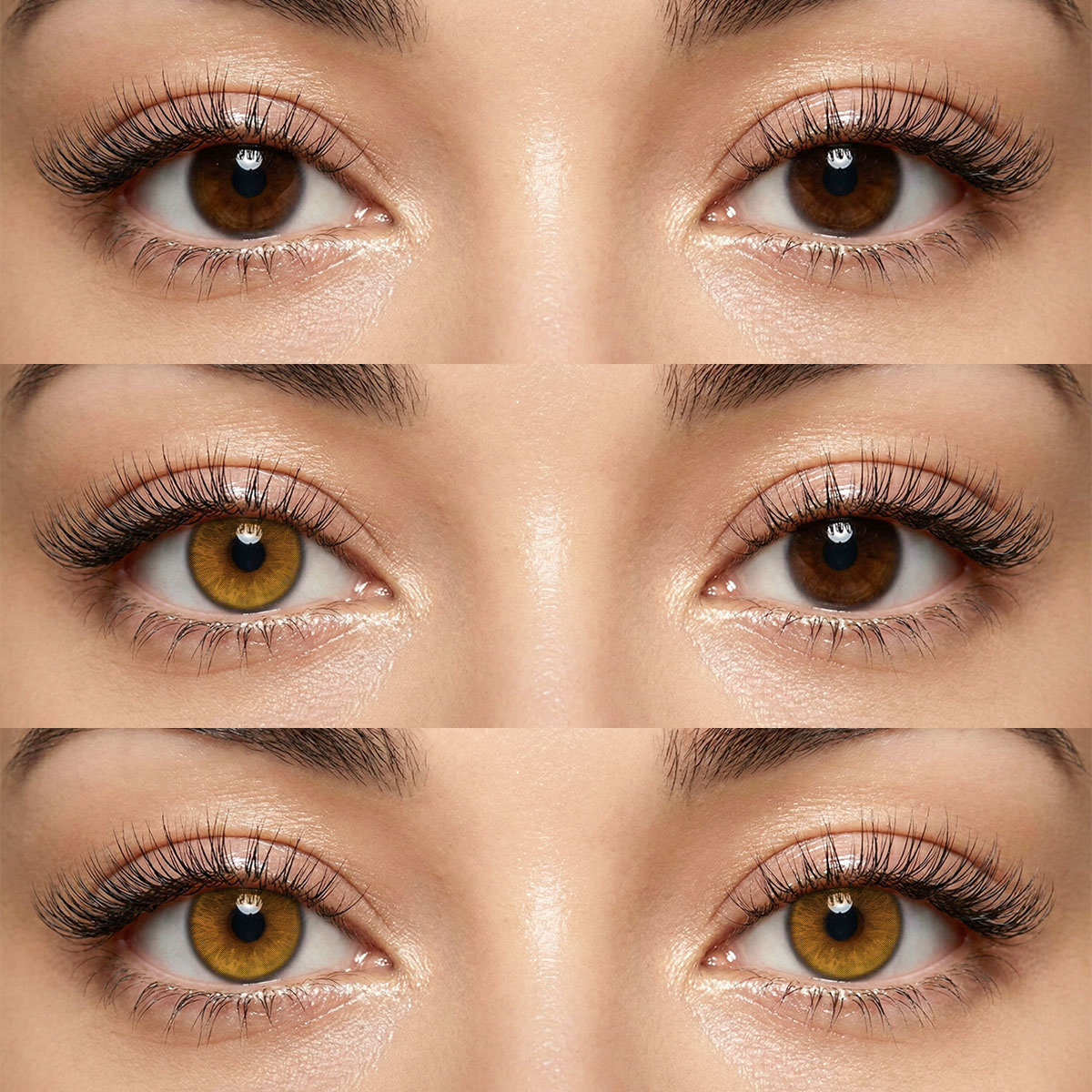 Akiwaii Zephira Brown[6-Month Wear]