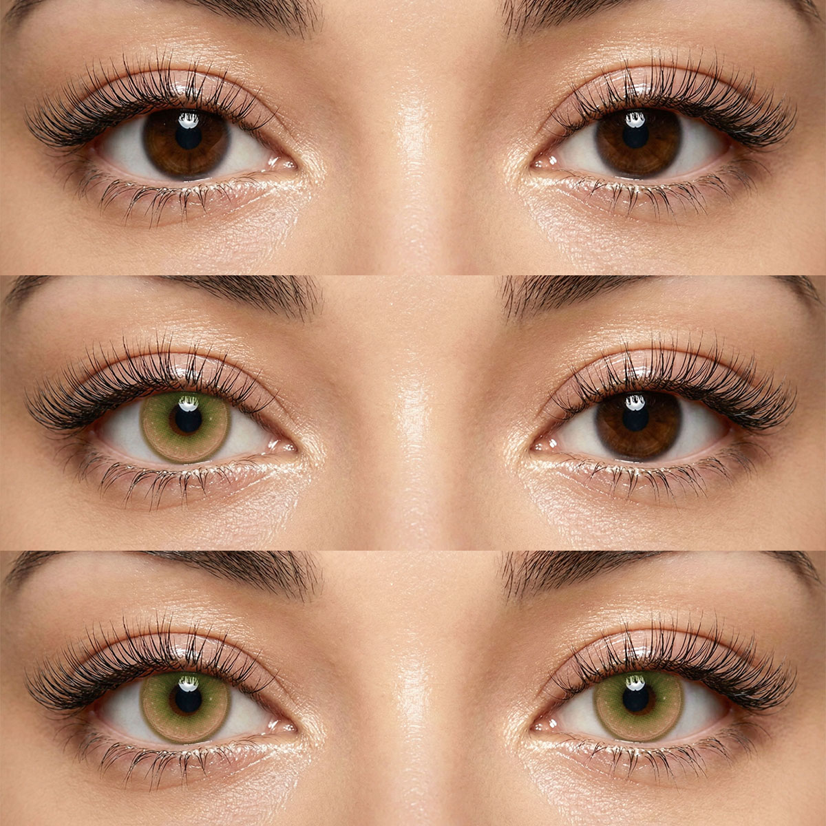 Akiwaii Irisa Green[Yearly]