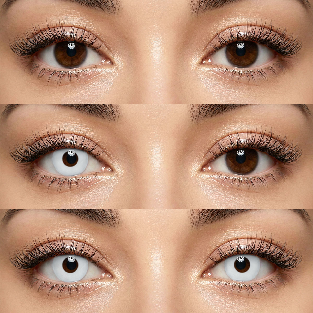 Akiwaii Vion White [Yearly]