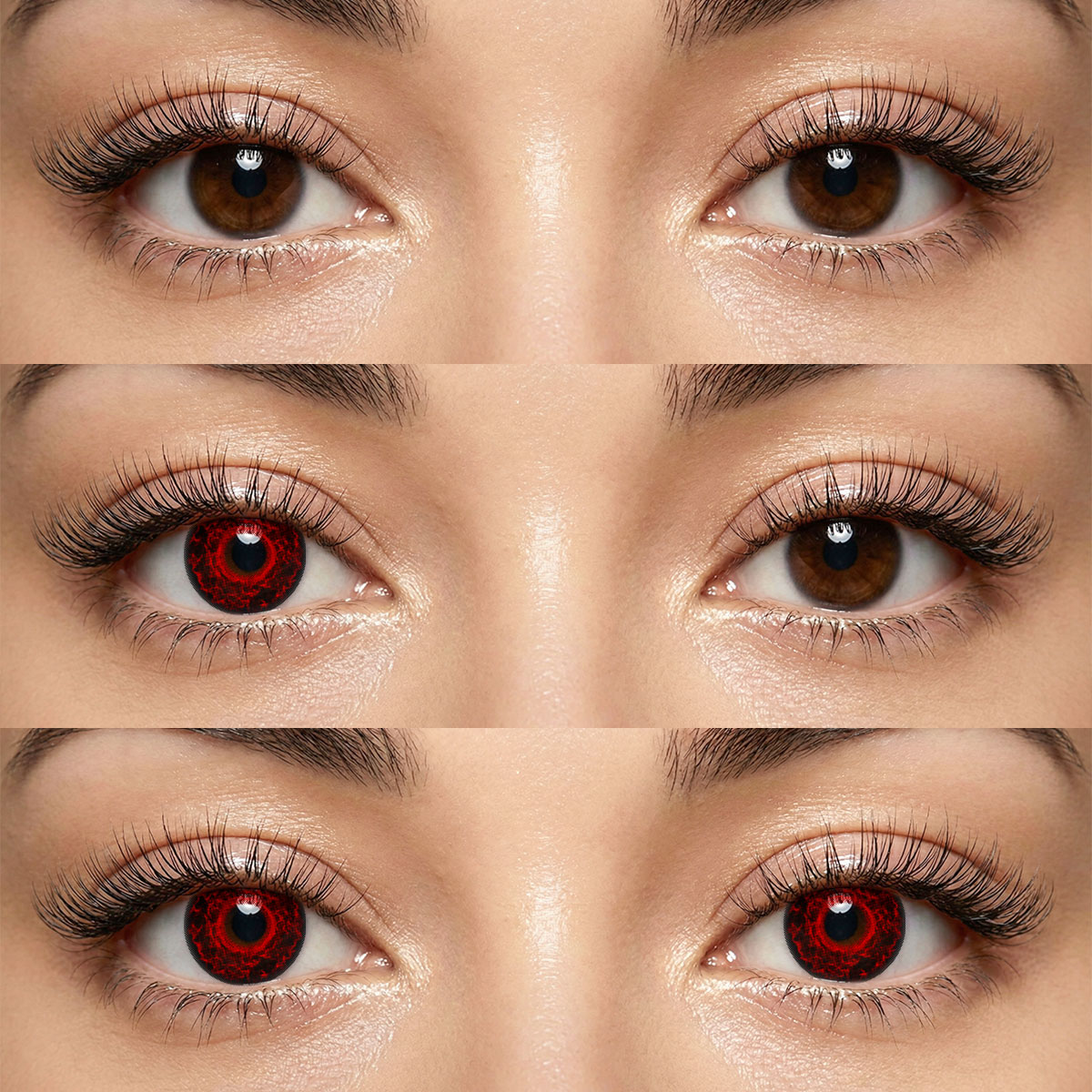 Akiwaii Ebonis Black[Yearly]