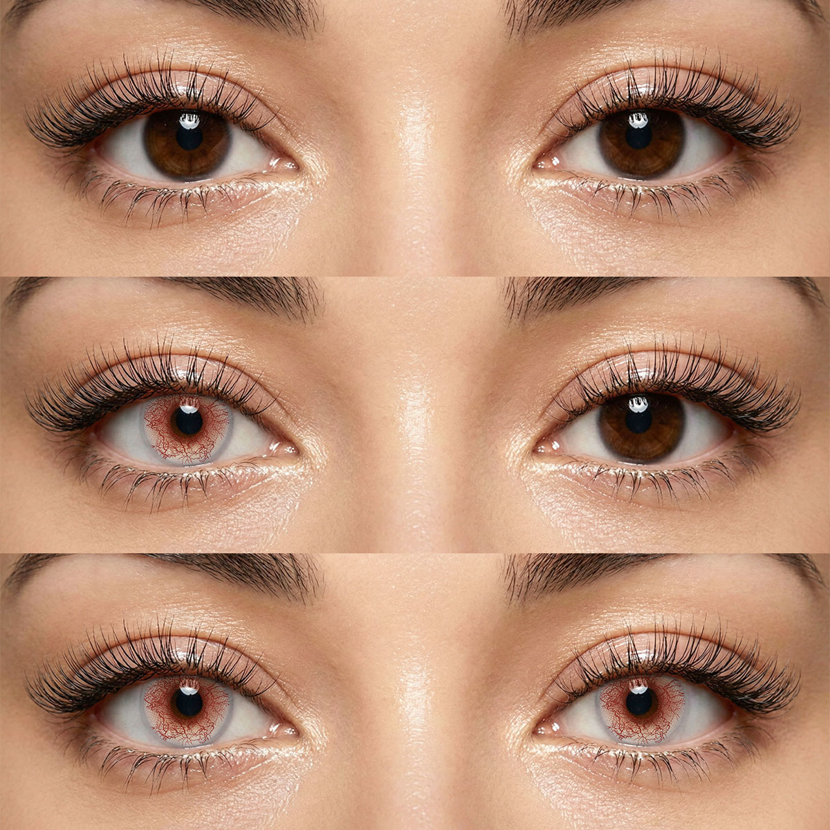 Akiwaii Gildis Brown[6-Month Wear]