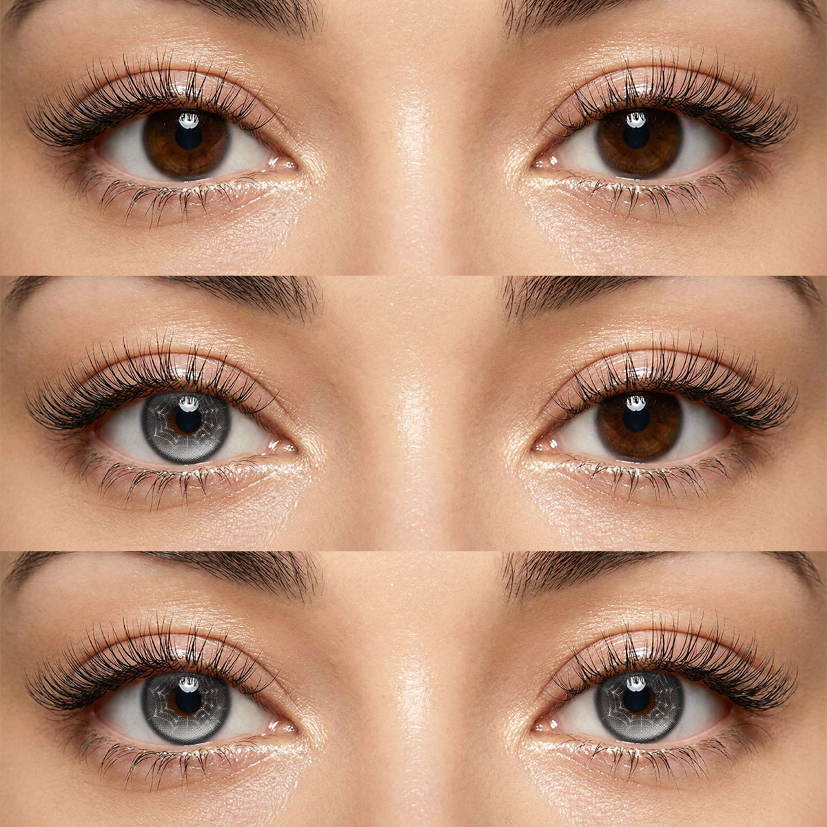 Akiwaii Holo Tint Black [6-Month Wear]