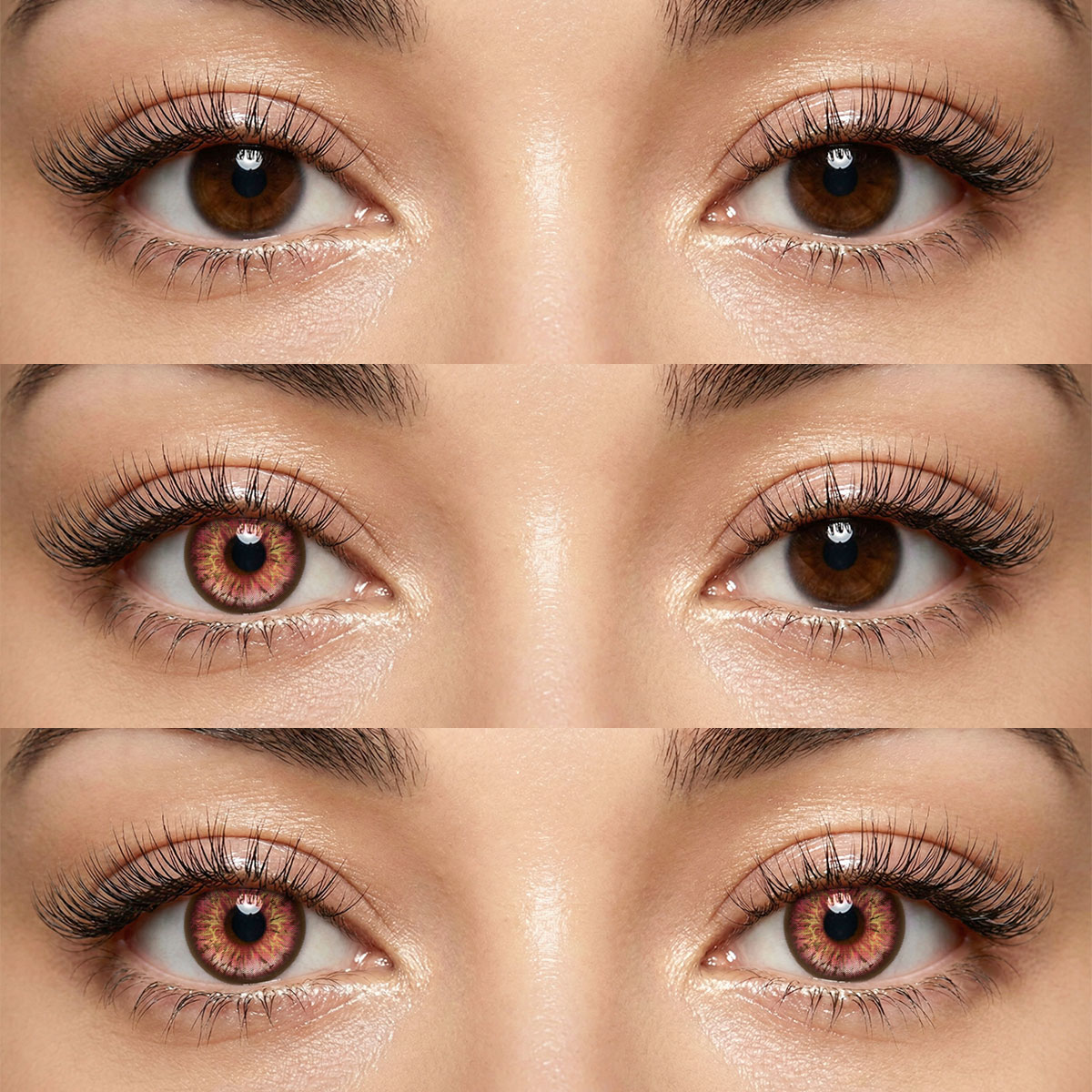 Akiwaii Isolde Brown [Yearly]