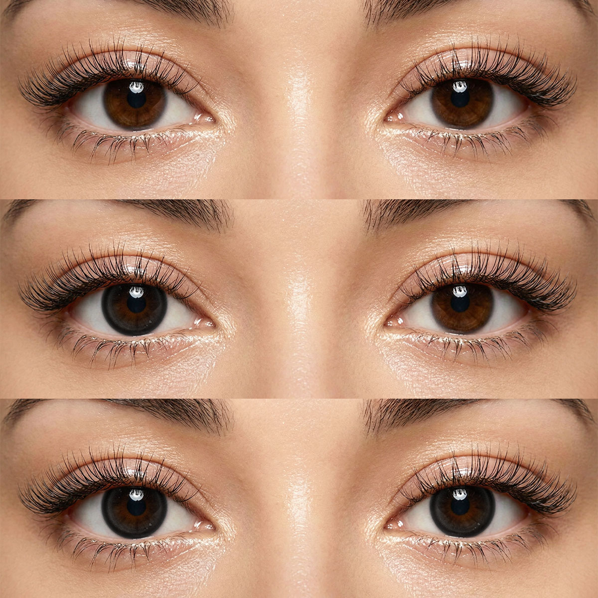 Akiwaii Prismora Black [Yearly]