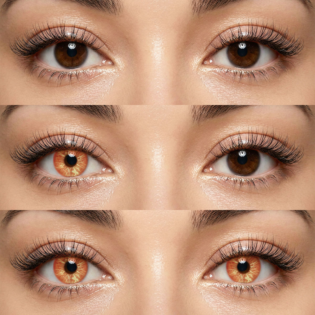 Akiwaii Emberwood Brown [Yearly]