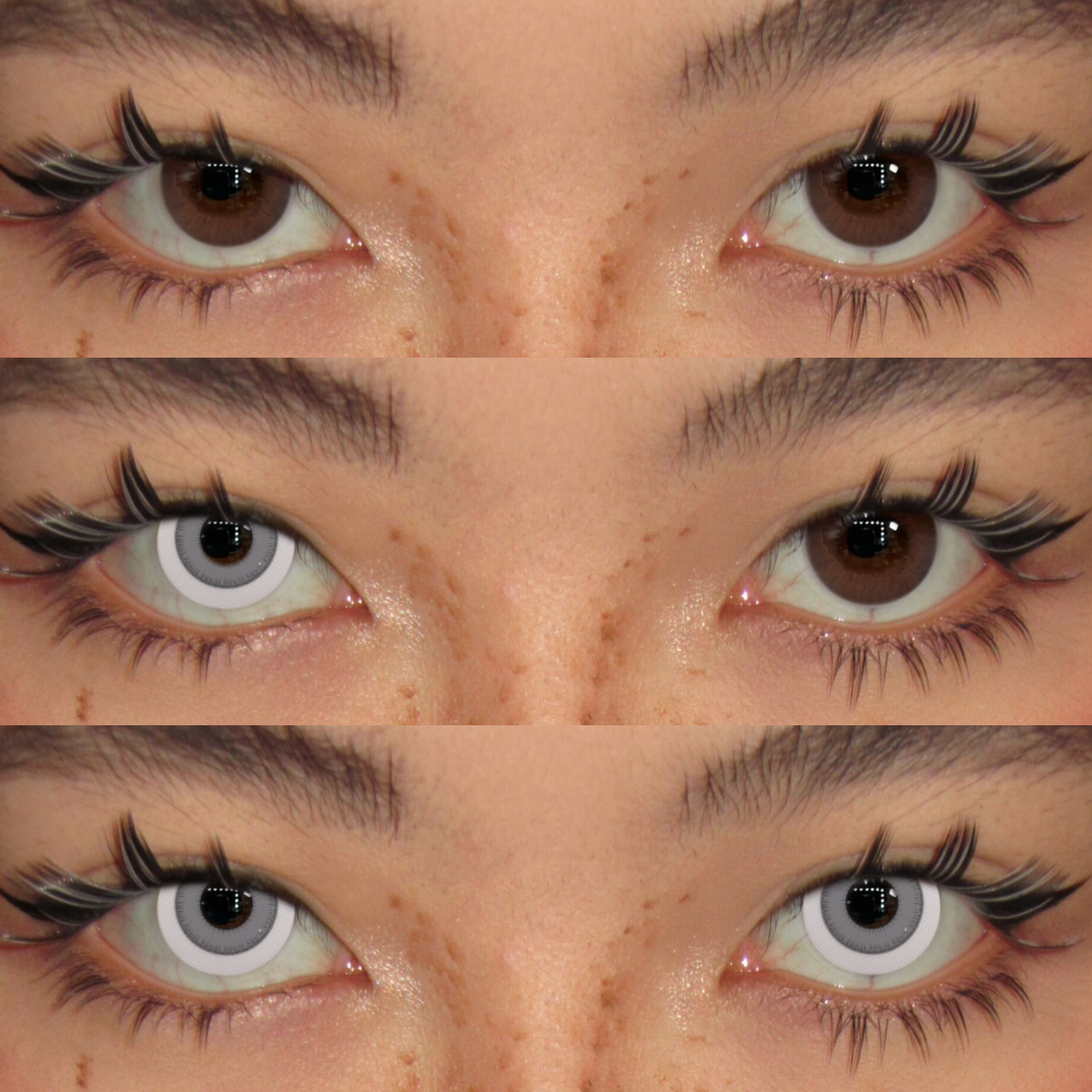 Akiwaii Intense Grey [Yearly]