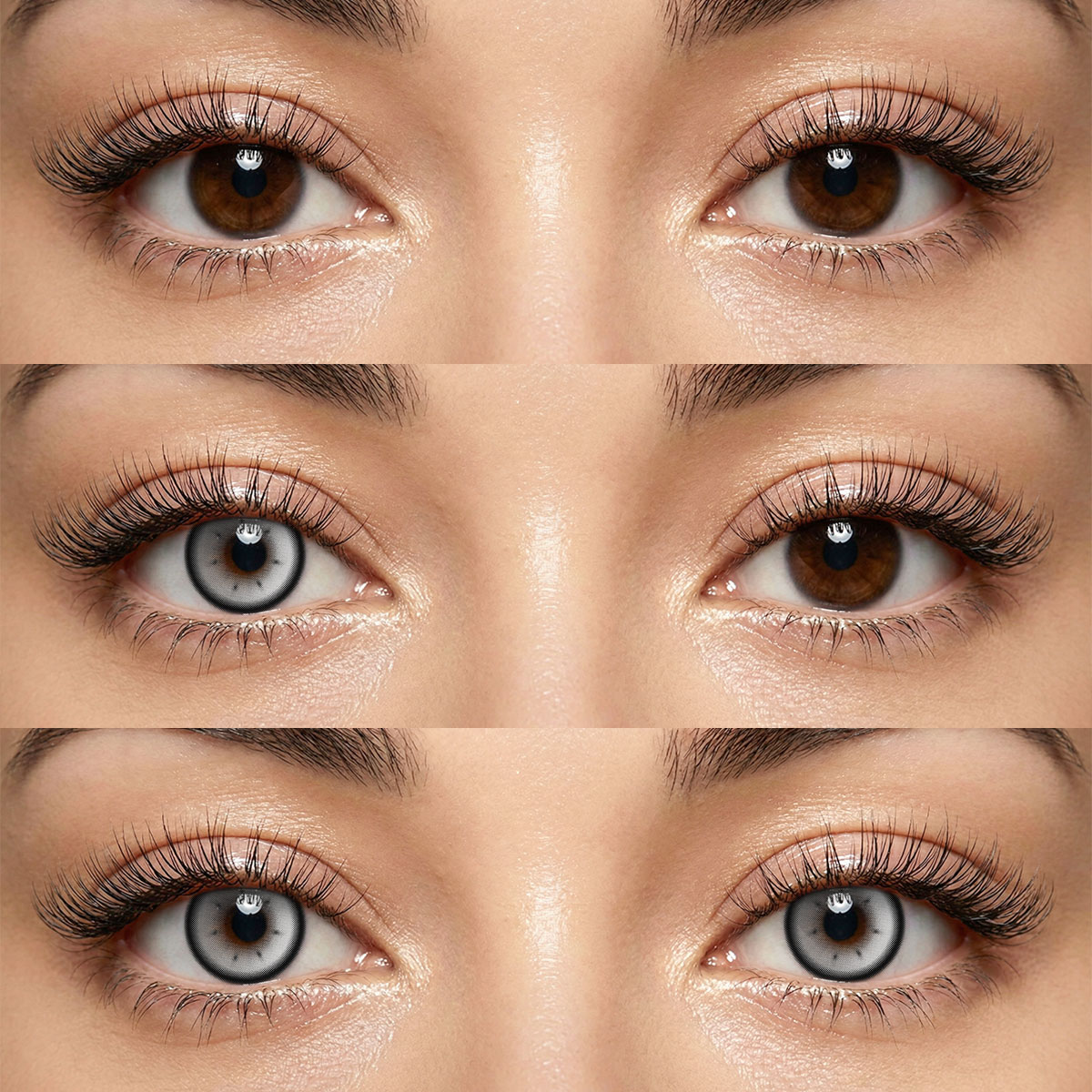 Akiwaii Luminate Grey[Yearly]