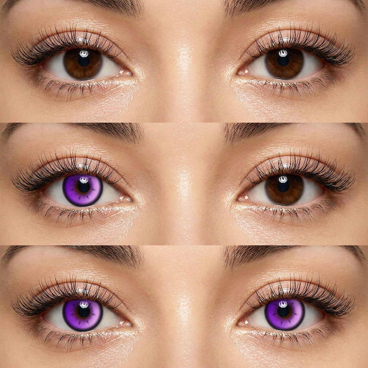 Akiwaii Luminate Purple[6-Month Wear]