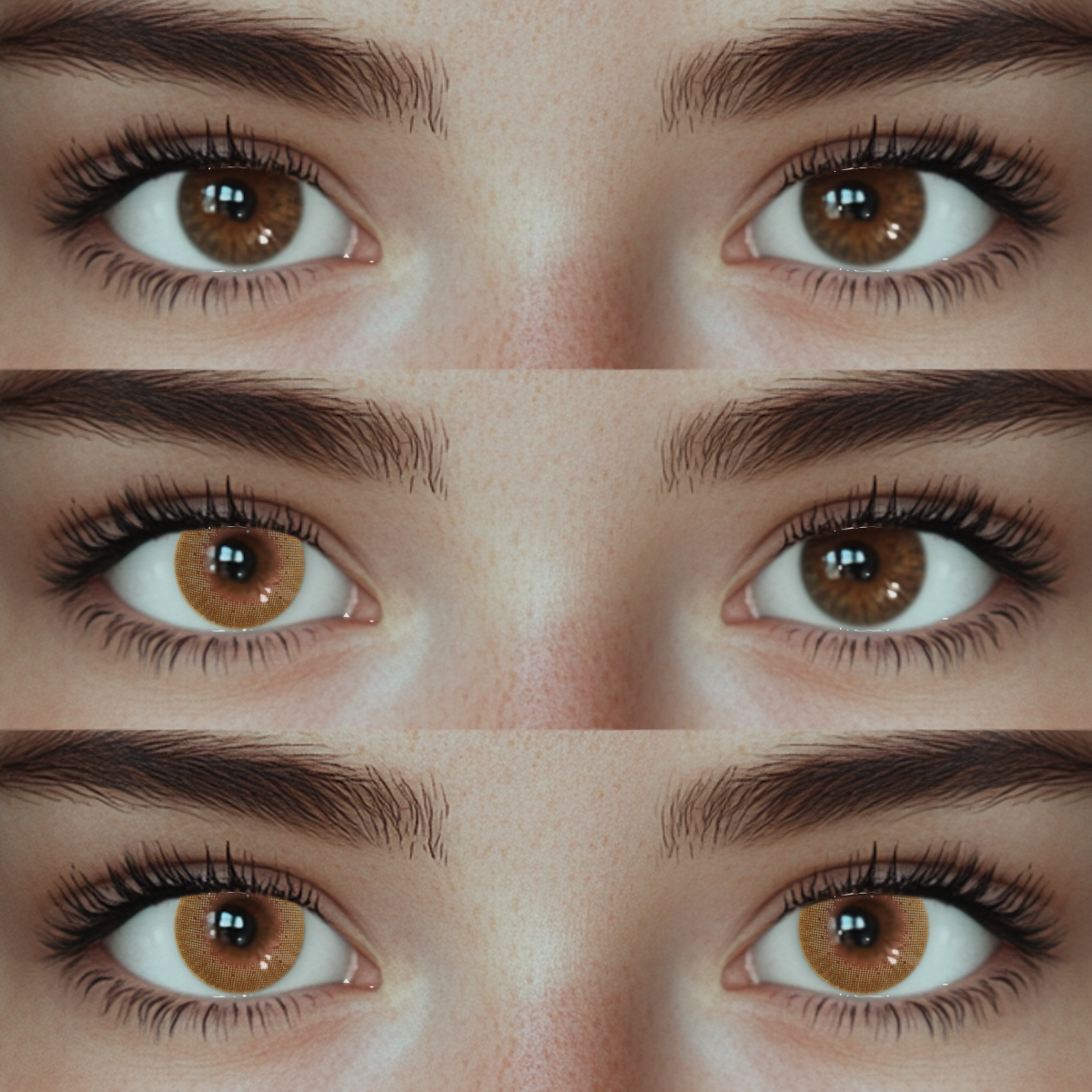 Akiwaii Chairos Brown[Daily]