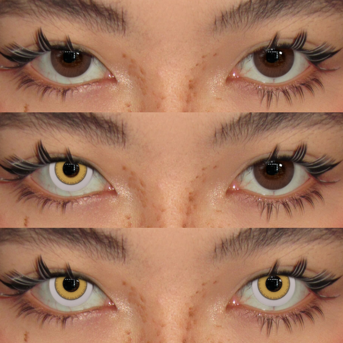 Akiwaii Intense Yellow [Yearly]