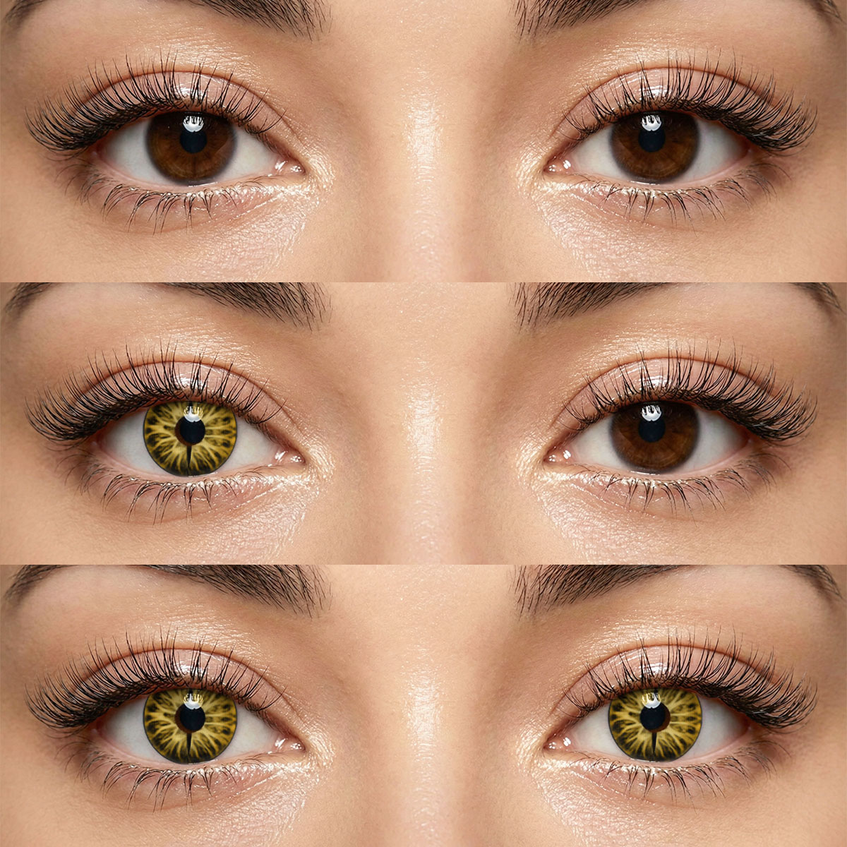 Akiwaii Arcane Tint Brown [Yearly]