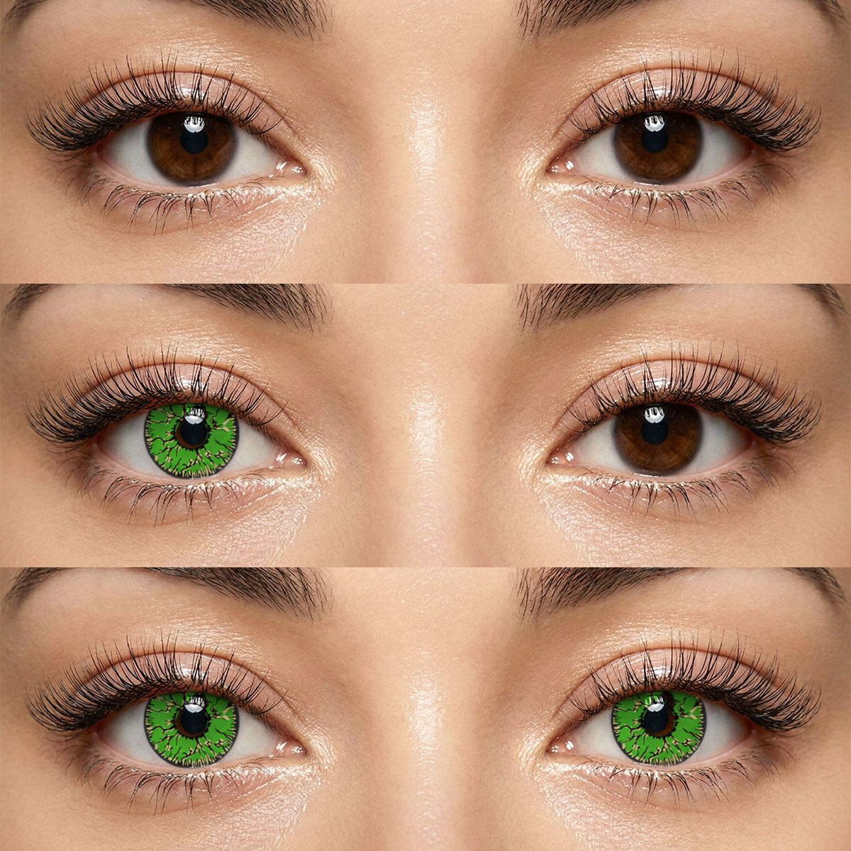 Akiwaii Fissure Green [Yearly]