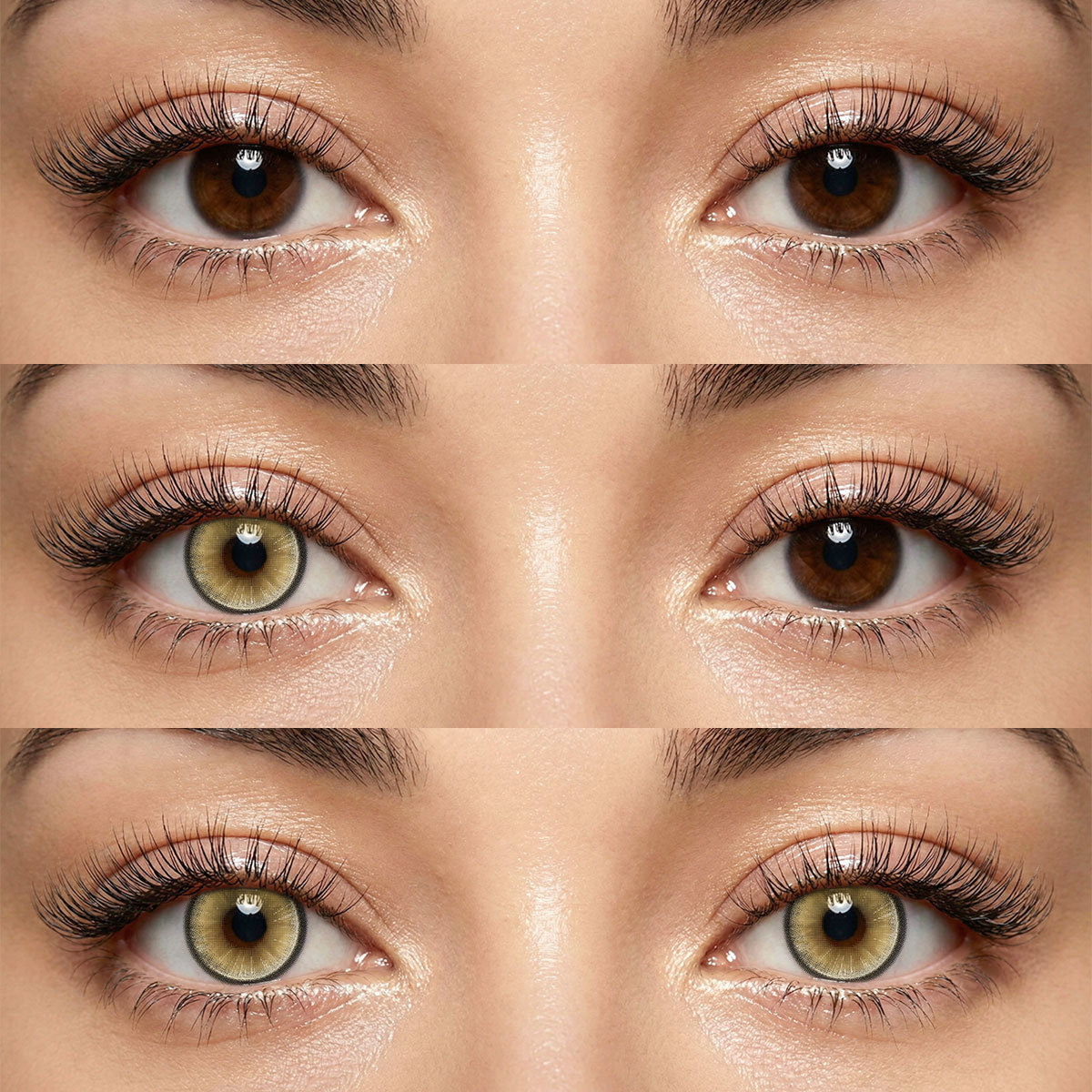 Akiwaii Pixelle Brown [Yearly]